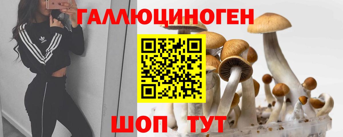 Галлюциногенные грибы MAGIC MUSHROOMS Кореновск