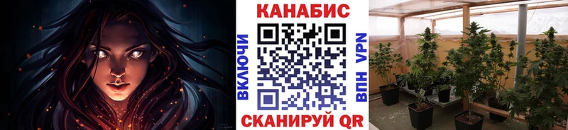 kraken сайт  Кореновск  Бошки марихуана план 